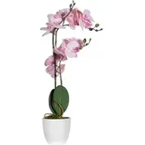 Paperflow meet powered by PAPERFLOW ORCHIDEE Kunstpflanze 50,0 cm