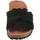 Verbenas Rocio Roda negro 37