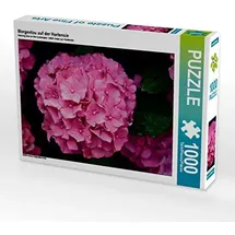 Calvendo Morgentau auf der Hortensie Puzzle