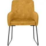 Set One by Musterring Armlehnstuhl Fontana Polyester gold 2er Set