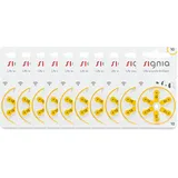 60 x Siemens Signia Hörgerätebatterien 1,45V 100mAh 10 P10MF PR70