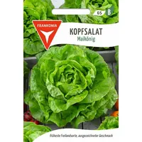 Philipp Klein GmbH Kopfsalat, Maikönig, ca. 200 Samen