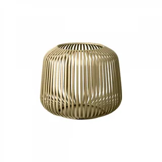 champagne, metallic finish S