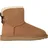 chestnut 42