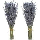 2 Stück Trockenblumen,Getrockneter Lavendel ca.40cm - Lavendelblüten aus der Provence Lavendelstrauß Lavendelbund Trockenblumen Boho Deko