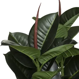 Atmosphera - Künstliche Ficus robusta-Pflanze 40x40x120cm