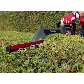 Einhell GC-EH 6055/1