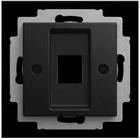 Busch-Jaeger Zent.Sch.ModJack 2561-915