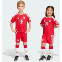 adidas FC Bayern München Minikit 2026/27 rot Kinder Gr. 98