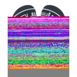 QUIKSILVER Molokai Screen schwarz 39