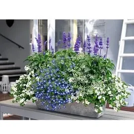 ArtStone Balkonkasten Ella 37 x 17 x 17 cm grau