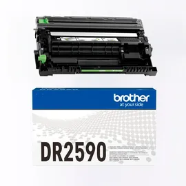 Brother Brother, DR2590
