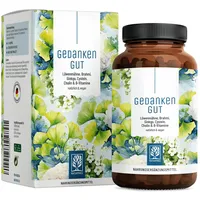 NATURTREU Löwenmähne Brahmi Ginkgo Cholin Kapseln 120 St.