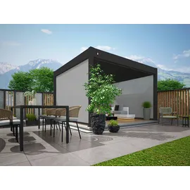 Weide Gardenson Pergola-Rollo, Anthrazit