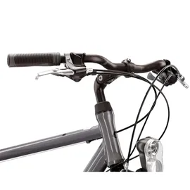KROSS Trans 1.0 2022 28 Zoll RH 48 cm grau