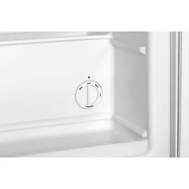 Bartscher Tiefkühlschrank TKS38