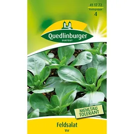 Quedlinburger Feldsalat, Vit