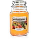 Yankee Candle Duftkerze Großes Glas Exotic Fruits 538 g, orange