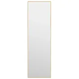 vidaXL Türspiegel Golden 30x100 cm Glas und Aluminium