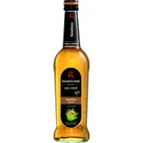 Riemerschmid Hazelnut 700 ml