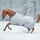 Bucas Power Turnout Extra Pferdedecke 300g 135-183 cm Grau/Silber