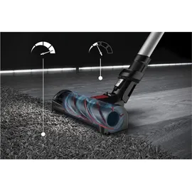 Rowenta X-Force Flex 12.60 Animal grau