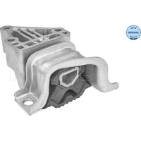 Meyle Lagerung, Motor