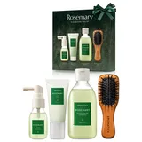 AROMATICA Rosmarin Kopfhaut-Skalierung - Geschenkset - [Mini Holzhaarbürste / rosmarin shampoo 100 ml / Rosmarin-Wurzel Verstärker 30 ml / Kopfhaut-Peeling 30 ml] Pflanzenbasiertes veganes hair care