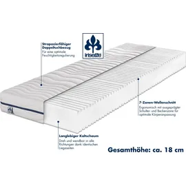 IRISETTE Stella Kaltschaum 100 x 200 cm H4