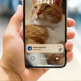 Philips Pet Series Intelligenter Futterautomat mit Kamera PAW5320/02