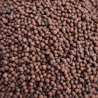 Blähton 4-8 mm 10 L Tongranulat für Zimmerpflanzen Hydrokultur und Drainage