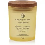 Chesapeake Bay Candle Mind & Energy 96g