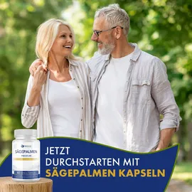 provilea Sägepalmen Kapseln 60/90 St.