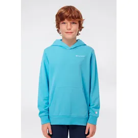 Champion Hoodie Blue 176