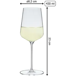 Spiegelau Definition Weißweinglas 430 ml 6er Set + Poliertuch