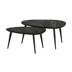 Couchtisch 2er Set  Dortmund ¦ grau