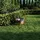 Segway Navimow H210E