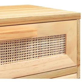 vidaXL Nachttische 2 Stk. Braun Massivholz Kiefer und Natur-Rattan
