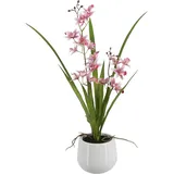 Künstliche Orchidee - Feng | 51 cm