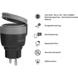 Hombli Smart-Home-Steckdose Schwarz 1 St.