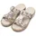 ARA Hawaii 37 - 37