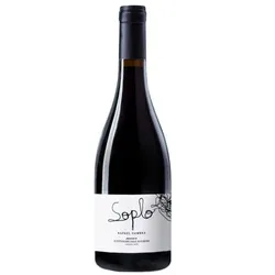 Soplo Rafael Cambra 2023
