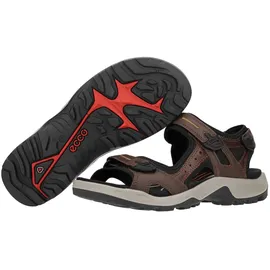 ECCO Offroad Herren espresso/cocoa 43