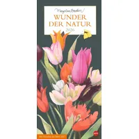 Heye Marjolein Bastin: Wunder der Natur Kalender 2026