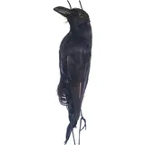 Tote Krähe Halloween Requisite, Hängende Künstliche Krähe, Realistische Hängende Tote Krähe, Gruselige Hängende Krähen Lockvogel, Künstliche Krähe Für Garten Spukhaus Grab, 44cm