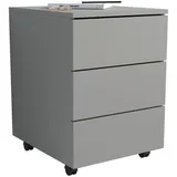VCM Dalosa Rollcontainer 39 x 45 x 55 cm grau