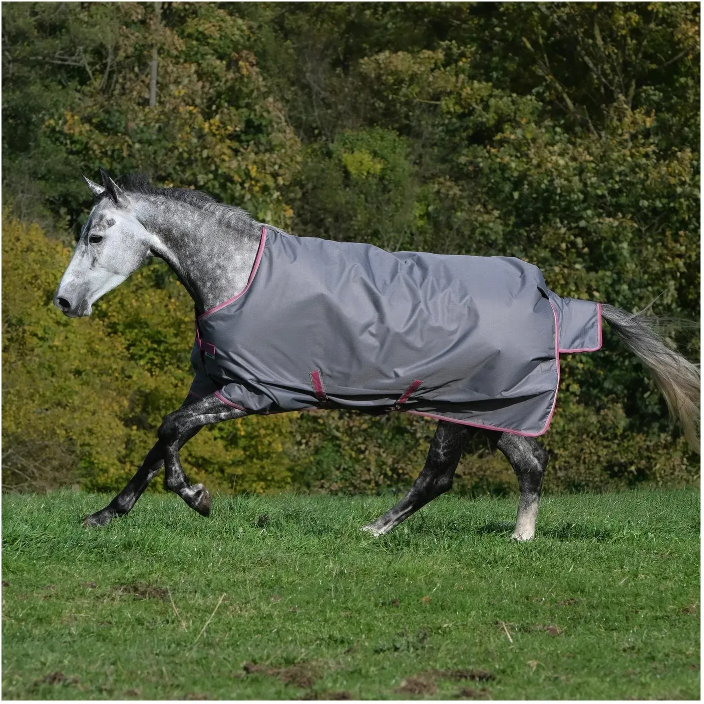 bucas Outdoordecke Freedom Turnout 150 g smoke grey 165 cm