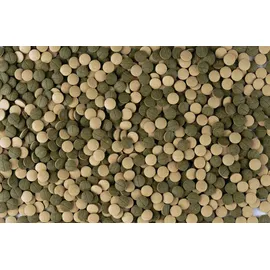 Tetra Pleco Tablets XL 133 Tabletten