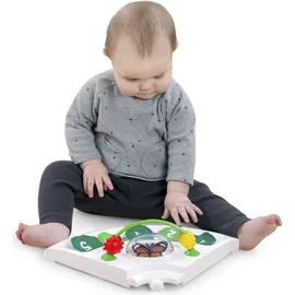 Baby Einstein Around We Grow 4-in-1