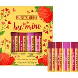 Burt's Bees Lippenbalm, Lippenpflegeprodukte für den ganzen Tag Hydration, Bee Mine - Strawberry, Dragonfruit Lemon, Pomegranate & Wassermelone, 4 Stück (Packaging May Vary)